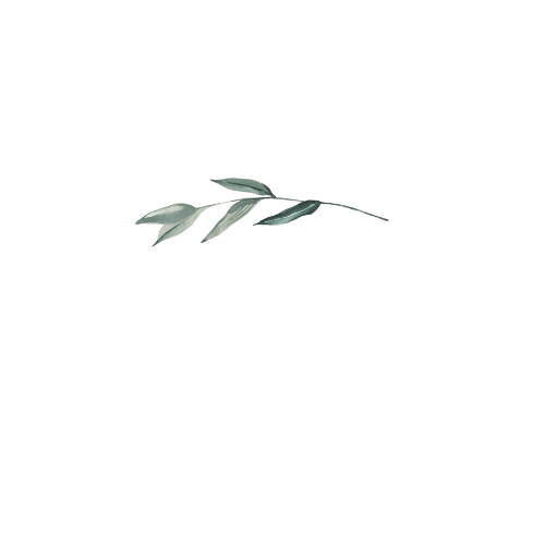 Salt and Sage logo